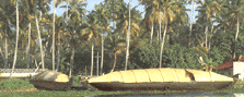 rice-boats